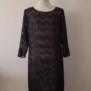 NWT Sheer Chevron Shift Dress 16